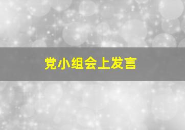 党小组会上发言