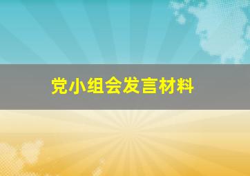 党小组会发言材料