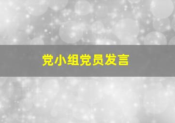 党小组党员发言