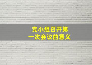 党小组召开第一次会议的意义