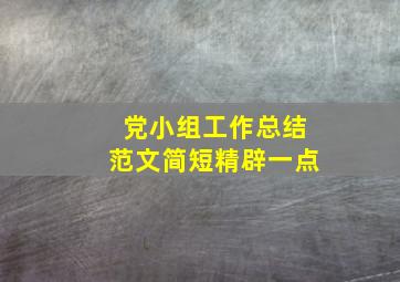 党小组工作总结范文简短精辟一点