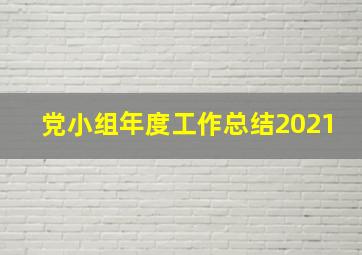 党小组年度工作总结2021