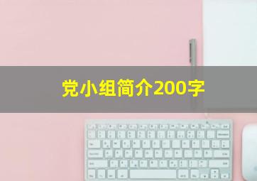 党小组简介200字