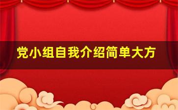 党小组自我介绍简单大方