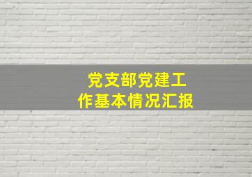 党支部党建工作基本情况汇报