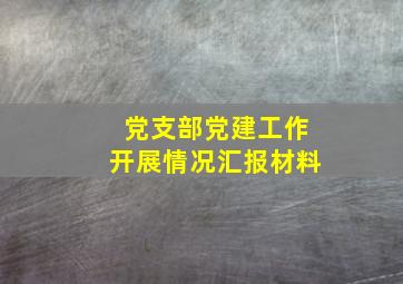 党支部党建工作开展情况汇报材料