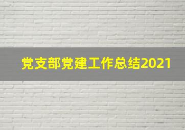 党支部党建工作总结2021