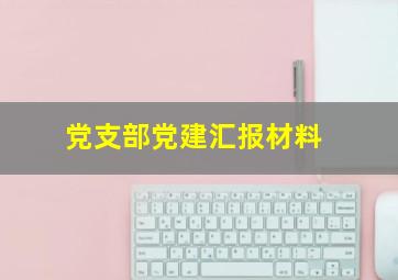 党支部党建汇报材料