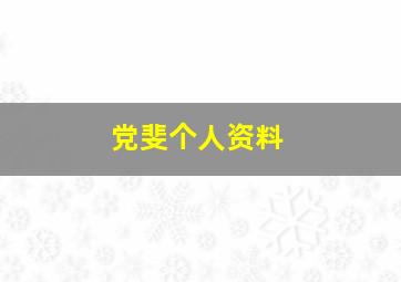 党斐个人资料