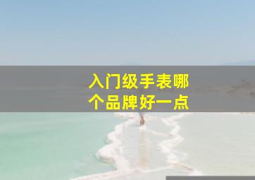 入门级手表哪个品牌好一点