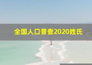 全国人口普查2020姓氏