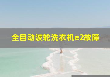 全自动波轮洗衣机e2故障