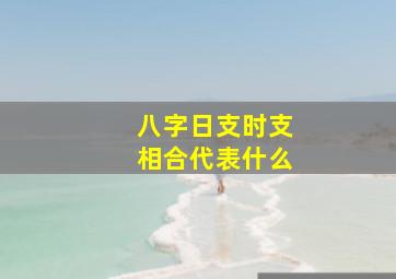 八字日支时支相合代表什么