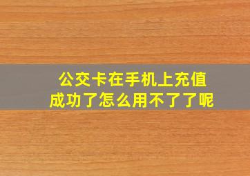 公交卡在手机上充值成功了怎么用不了了呢