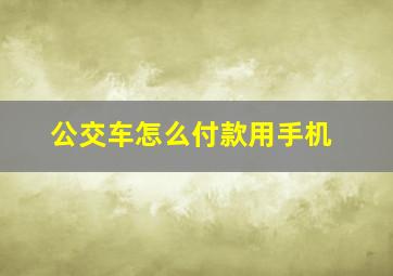 公交车怎么付款用手机