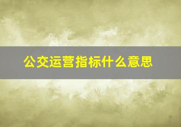 公交运营指标什么意思