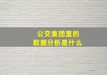 公交集团里的数据分析是什么