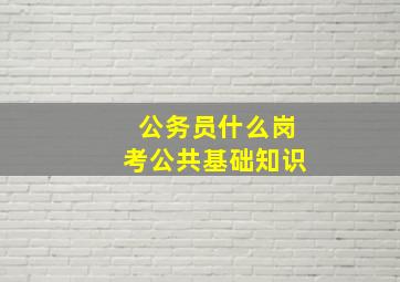 公务员什么岗考公共基础知识