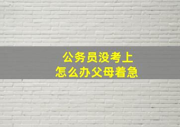 公务员没考上怎么办父母着急