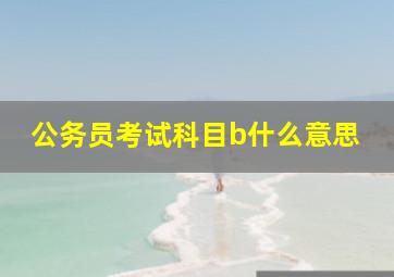 公务员考试科目b什么意思