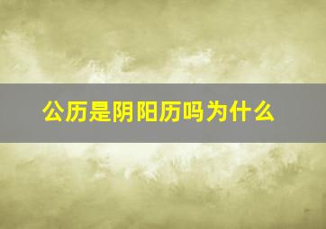 公历是阴阳历吗为什么