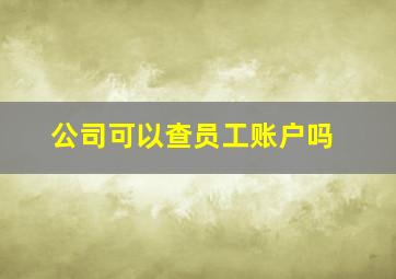 公司可以查员工账户吗