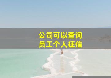 公司可以查询员工个人征信