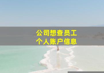 公司想查员工个人账户信息