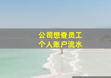 公司想查员工个人账户流水