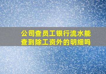 公司查员工银行流水能查到除工资外的明细吗