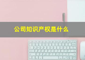 公司知识产权是什么