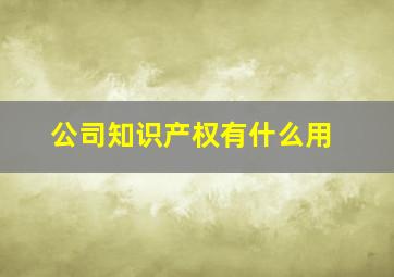 公司知识产权有什么用