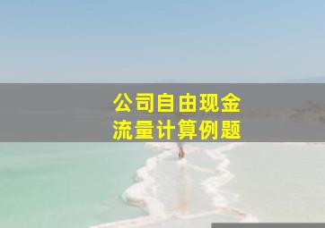 公司自由现金流量计算例题