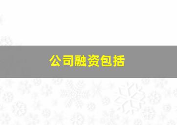 公司融资包括