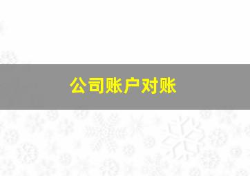 公司账户对账