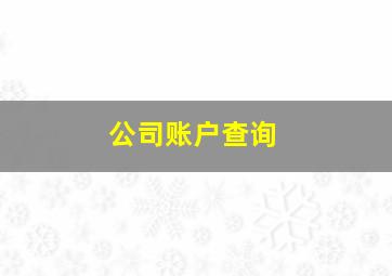 公司账户查询