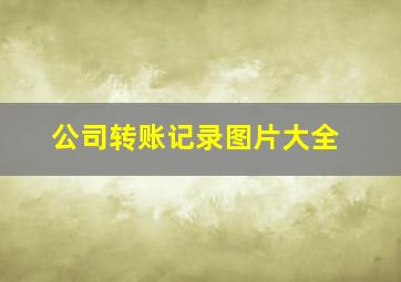 公司转账记录图片大全