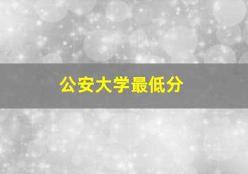 公安大学最低分