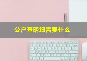 公户查明细需要什么