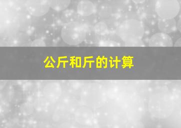 公斤和斤的计算