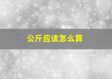 公斤应该怎么算