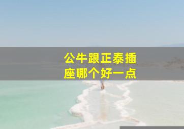 公牛跟正泰插座哪个好一点