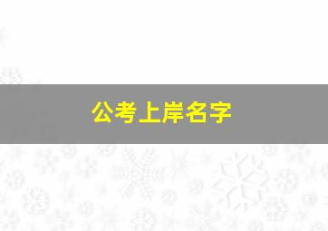 公考上岸名字