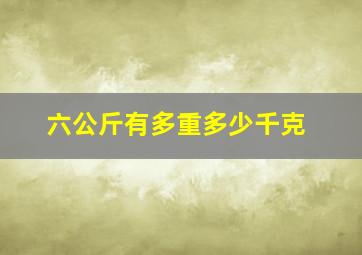 六公斤有多重多少千克