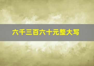 六千三百六十元整大写