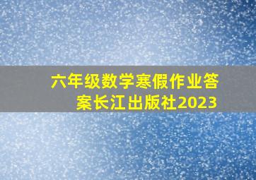 六年级数学寒假作业答案长江出版社2023