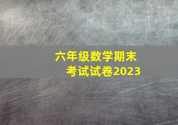 六年级数学期末考试试卷2023