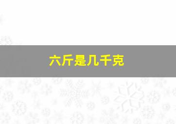 六斤是几千克