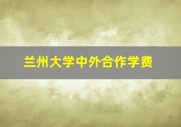 兰州大学中外合作学费