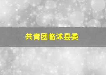 共青团临沭县委